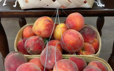 Georgia Peaches