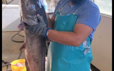 Today’s Catch