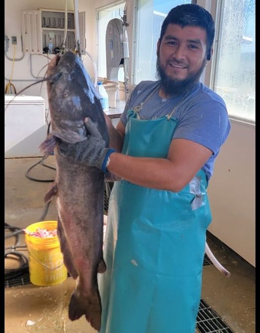 Today’s Catch