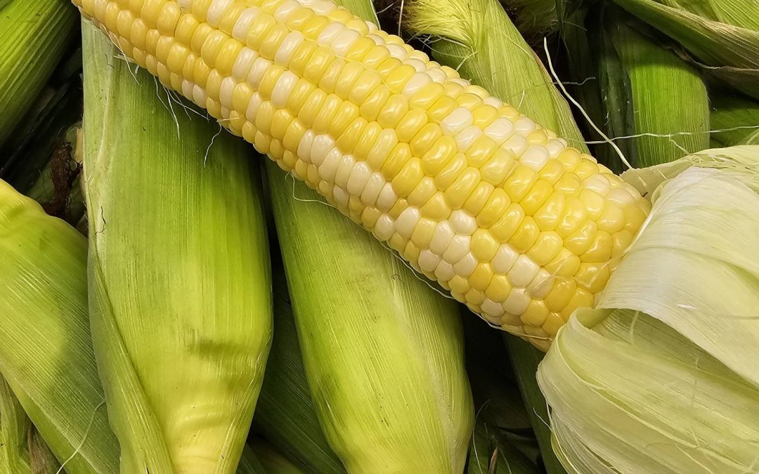 Fresh Peas & Sweet Corn for Sale!