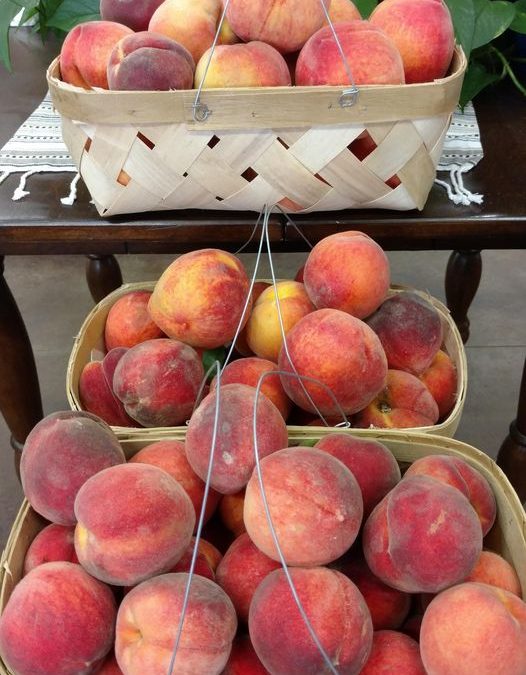 West Virginia Peaches