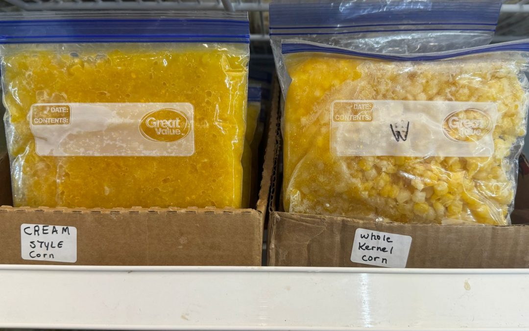 Fresh Picked Sweet Corn