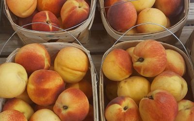 South Carolina Peaches and Alabama Tomatoes
