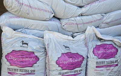 Premium Potting Soil