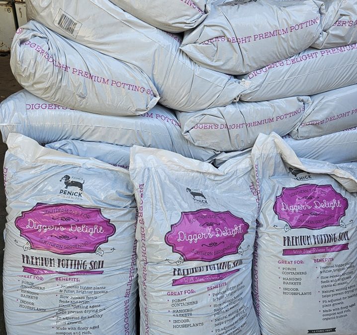 Premium Potting Soil