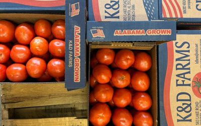 Sand Mountain Tomatoes