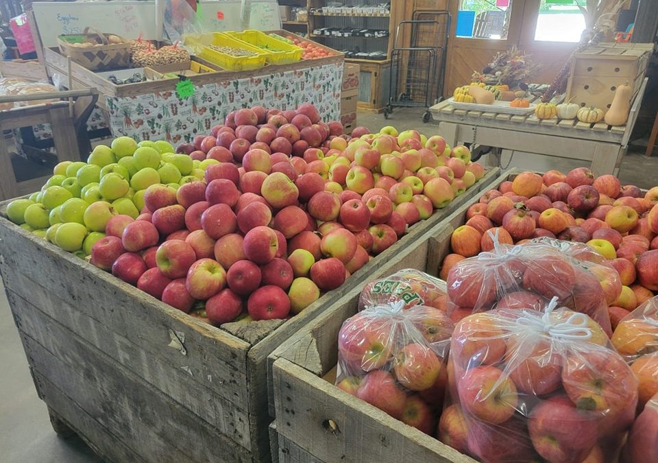 Michigan Apples