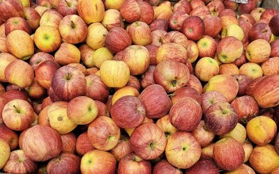 Reserve your apples!