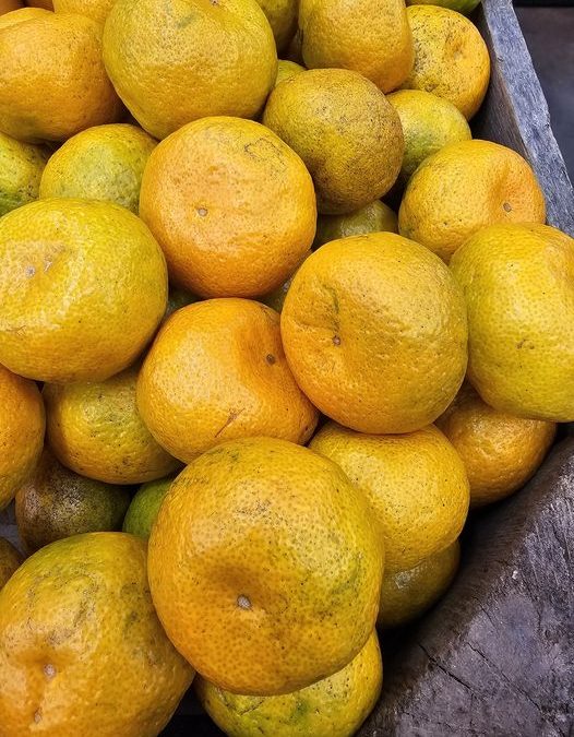Satsuma