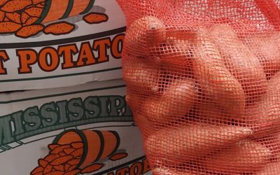 Sweet Potatoes