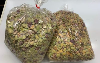 Fresh green and speckled butterbeans!