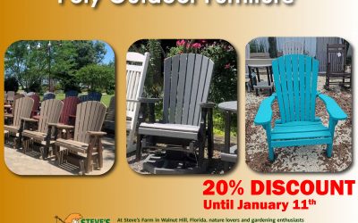 Our Holiday Offer!