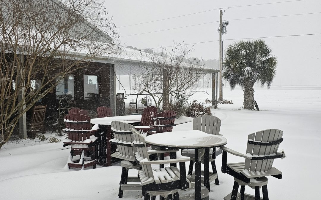 Snowy Day