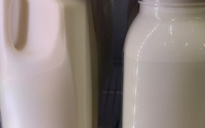 Fresh Milk
