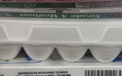 Fresh Eggs