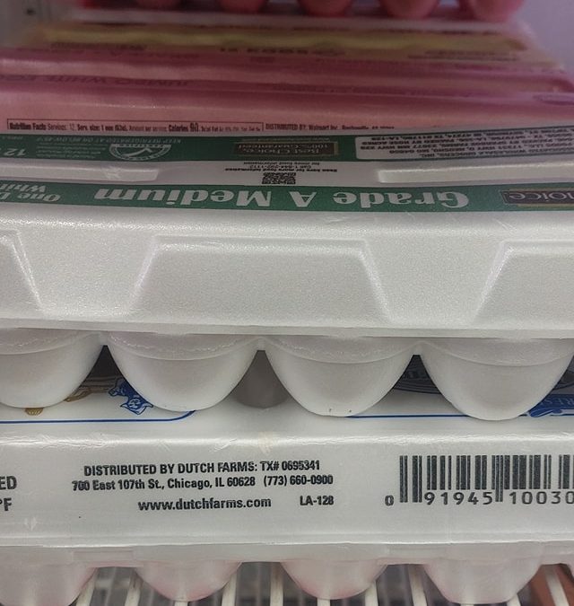 Fresh Eggs