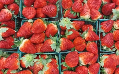 Strawberries