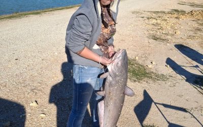 Another Catch