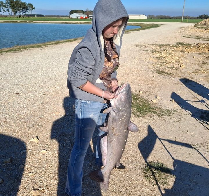 Another Catch