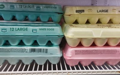 Eggs On Stock