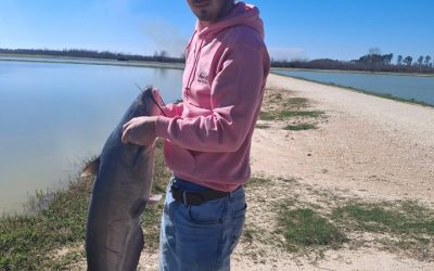 Another Tagged Fish