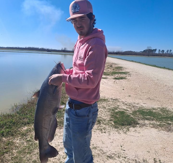 Another Tagged Fish