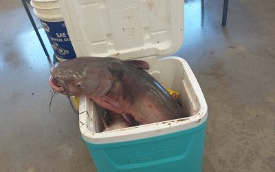 A 27lbs Catch!