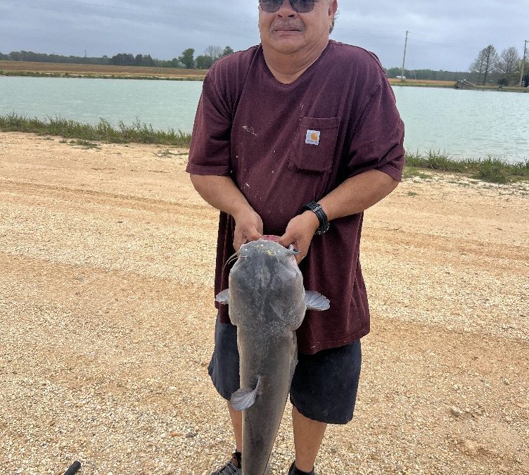 New Catch Today!