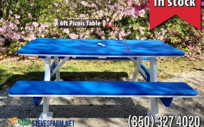 Picnic Table