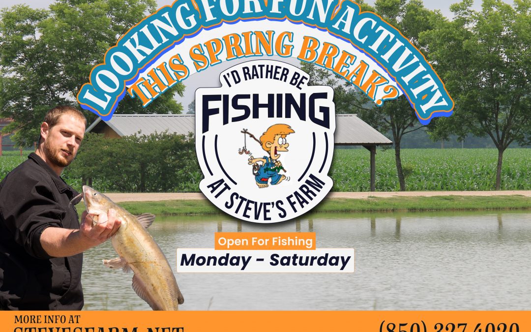 It’s More Fun Fishing At Steve’s Farm