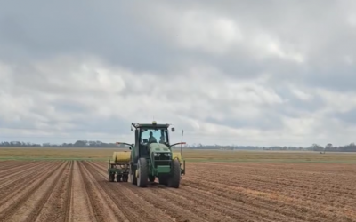 Planting Corn