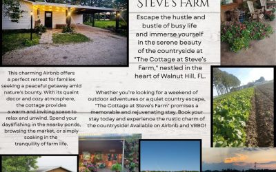 The Cottage At Steve’s Farm