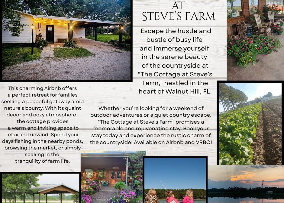 The Cottage At Steve’s Farm