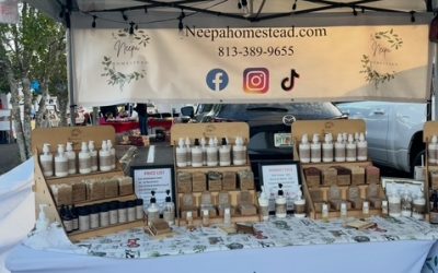 Neepa Homestead, LLC