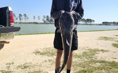 25.8Lb Lead!