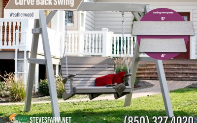 Curved Back Swing Perfect for Outdoors!