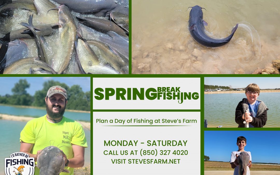 Spring Break Is Here!