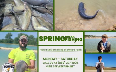 Spring Break Is Here!