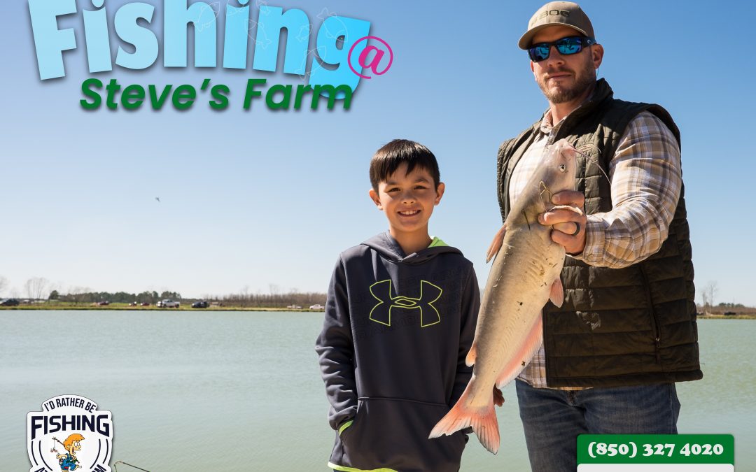 Spend Your Weekends At Steve’s Farm
