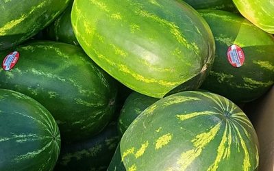 Fresh Veggies and Fruits at Steve’s Farm