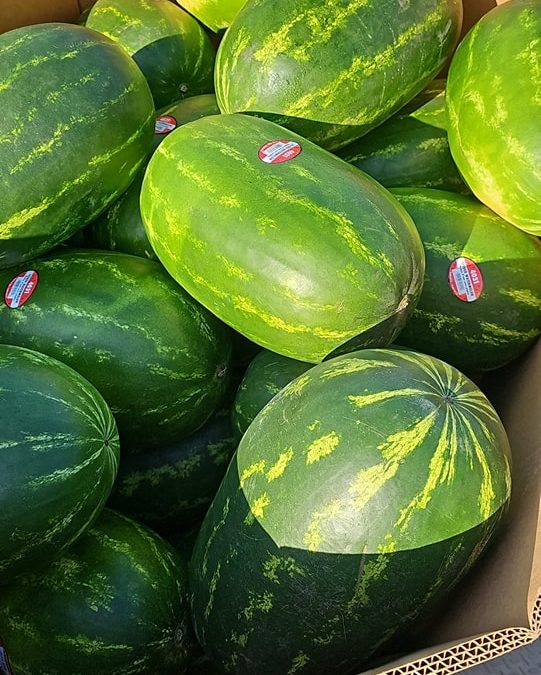 Fresh Veggies and Fruits at Steve’s Farm