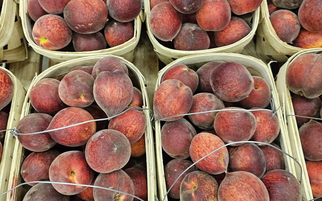 Chilton County Peaches