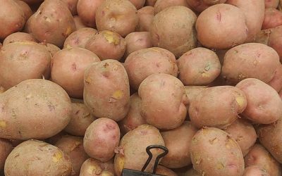 Now available! Local new potatoes
