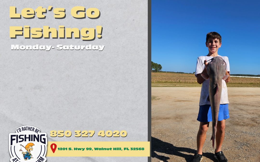 Looking for your family’s next activity?
