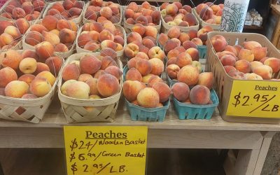 We have 20 lb. boxes of squash for $25 available to order!