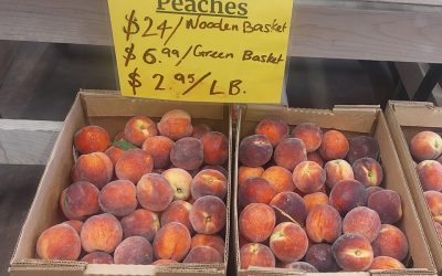 Ruby Prince Peaches