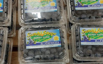 Fresh Picked blueberries!