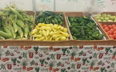 We have lots of veggies available!
