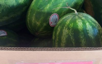 More Matermelon