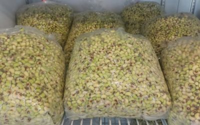 Peas Available!